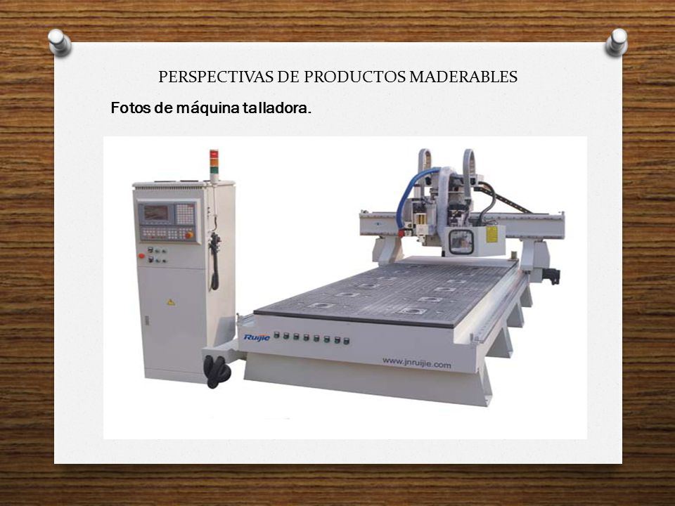 PERSPECTIVAS DE PRODUCTOS MADERABLES