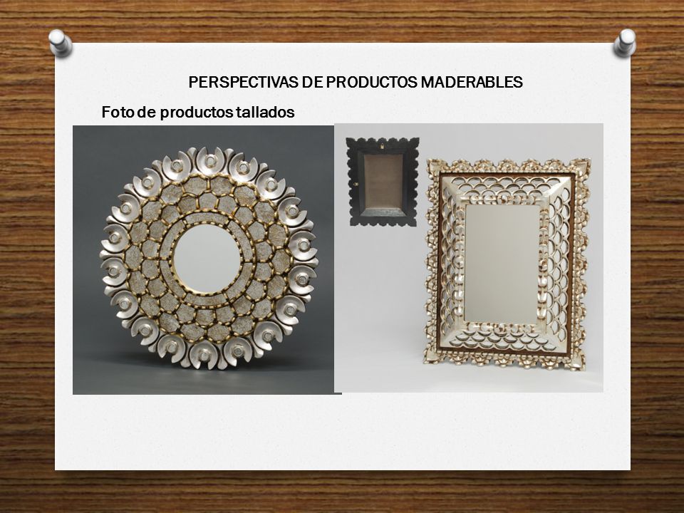PERSPECTIVAS DE PRODUCTOS MADERABLES