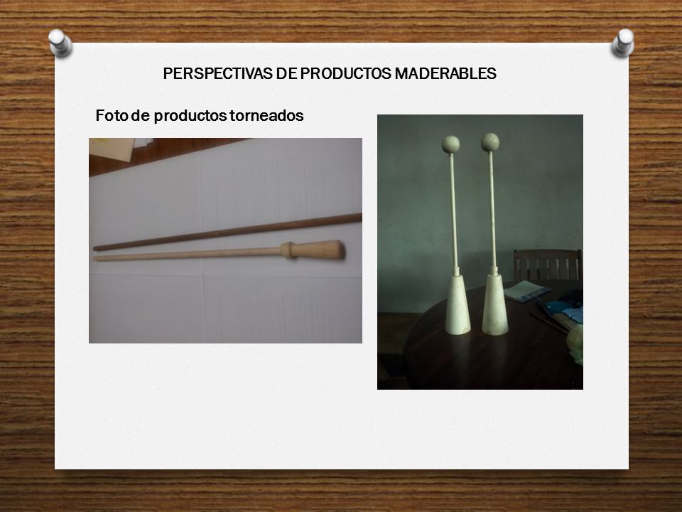 PERSPECTIVAS DE PRODUCTOS MADERABLES