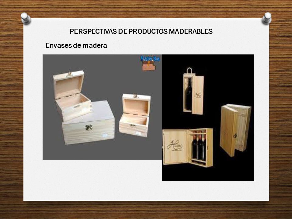 PERSPECTIVAS DE PRODUCTOS MADERABLES