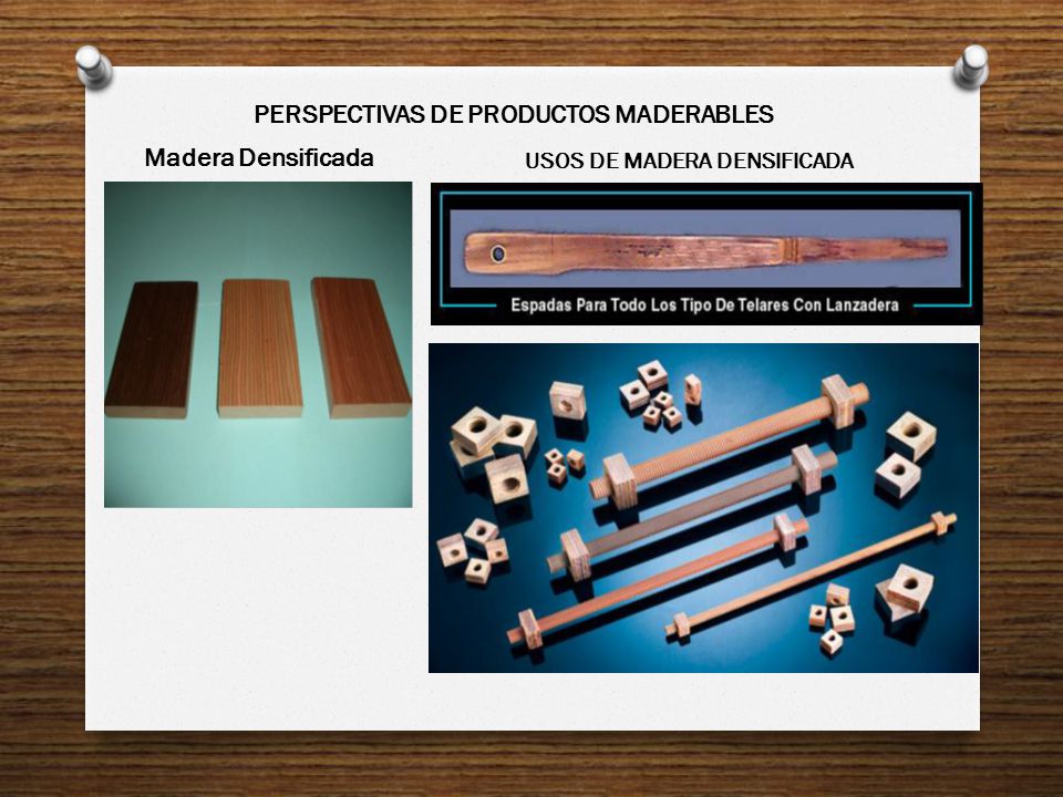 PERSPECTIVAS DE PRODUCTOS MADERABLES