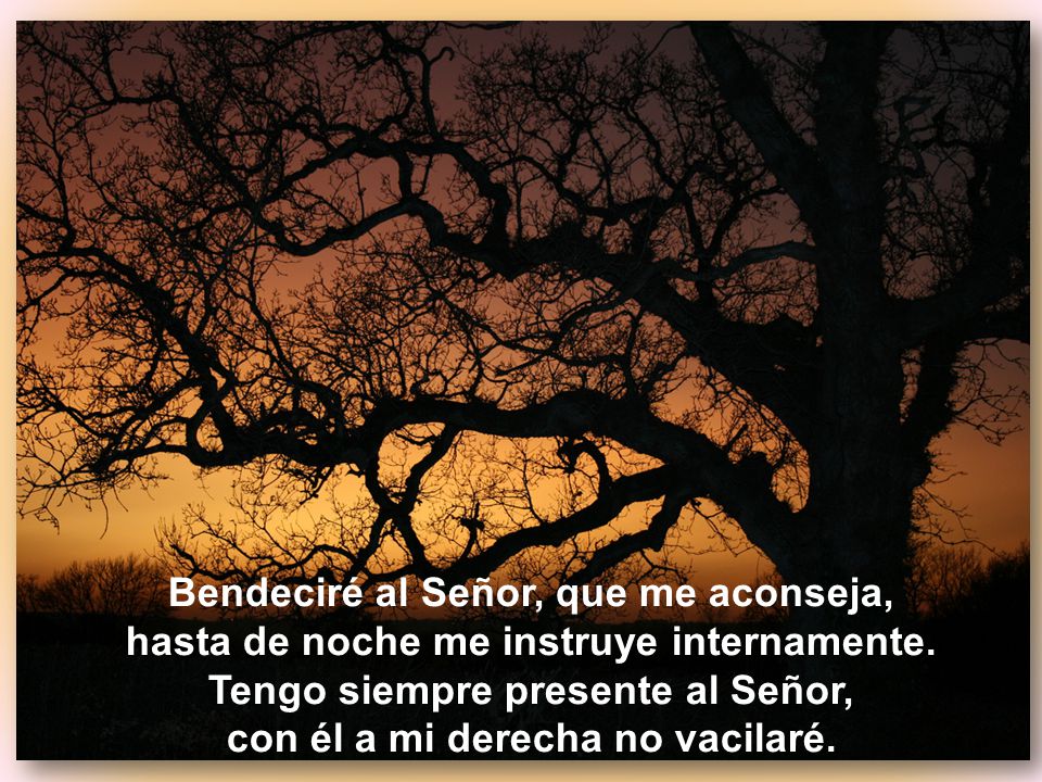 Bendeciré al Señor, que me aconseja, hasta de noche me instruye internamente.