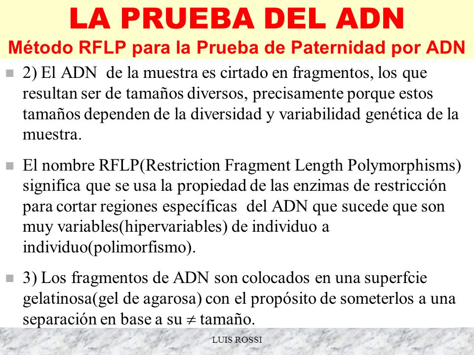 LA PRUEBA DEL ADN Método RFLP para la Prueba de Paternidad por ADN