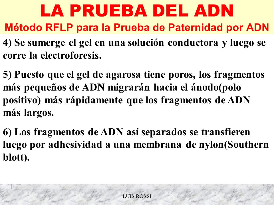 LA PRUEBA DEL ADN Método RFLP para la Prueba de Paternidad por ADN