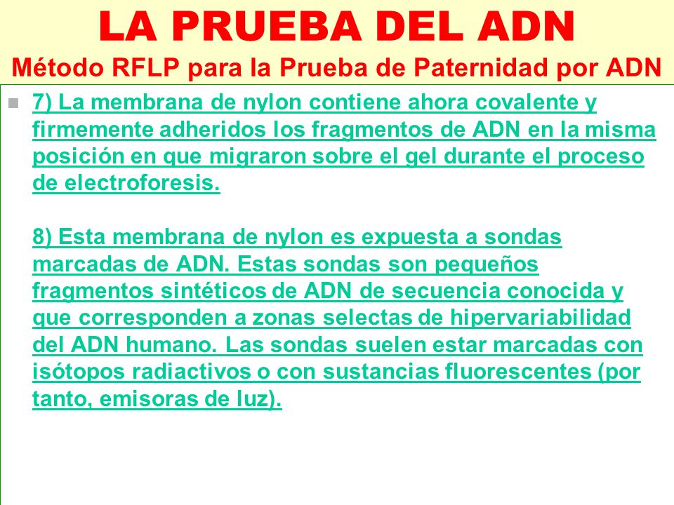 LA PRUEBA DEL ADN Método RFLP para la Prueba de Paternidad por ADN
