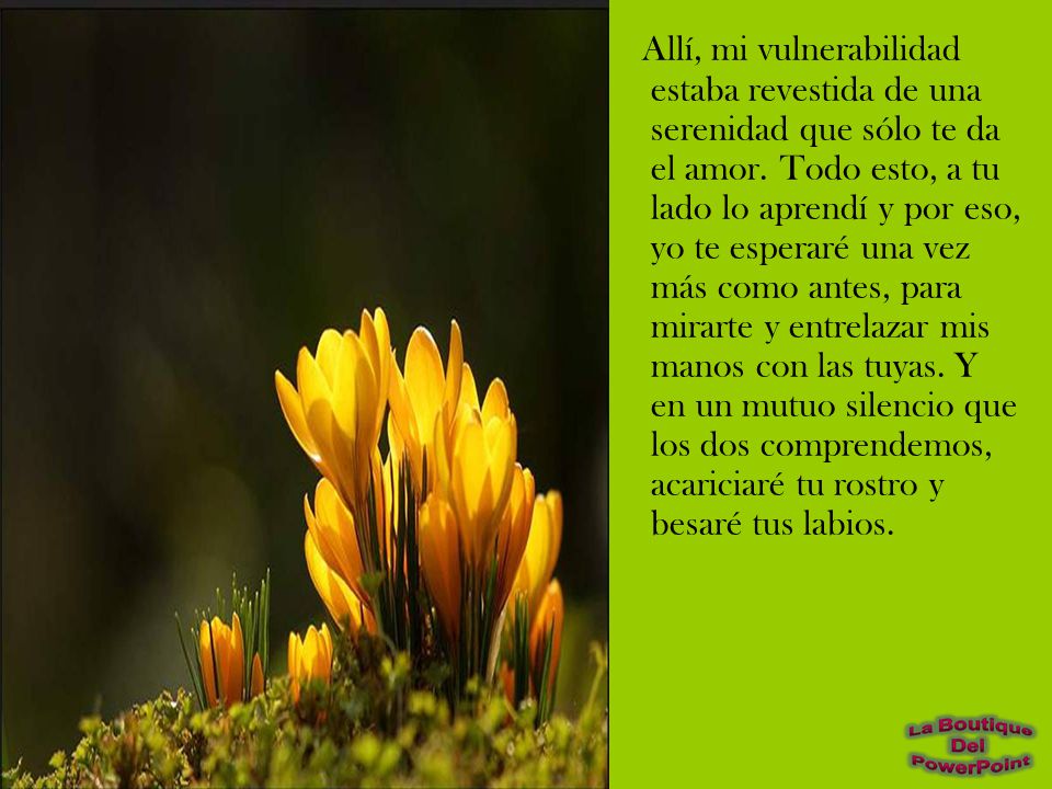 Allí, mi vulnerabilidad estaba revestida de una serenidad que sólo te da el amor.