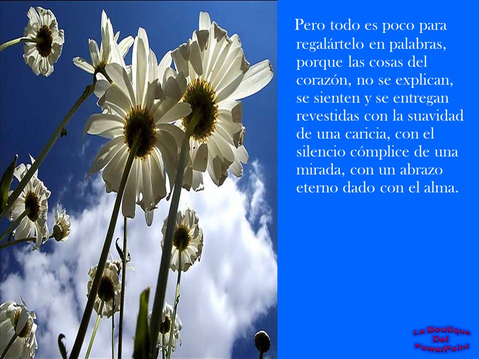 Pero todo es poco para regalártelo en palabras, porque las cosas del corazón, no se explican, se sienten y se entregan revestidas con la suavidad de una caricia, con el silencio cómplice de una mirada, con un abrazo eterno dado con el alma.