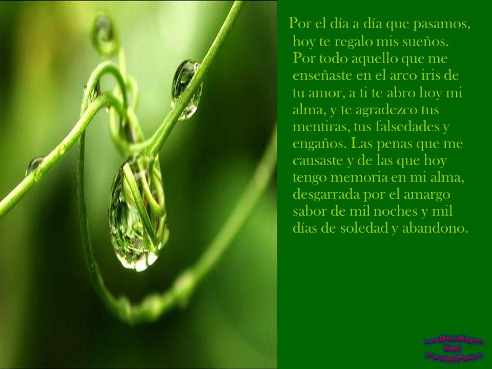 Por el día a día que pasamos, hoy te regalo mis sueños
