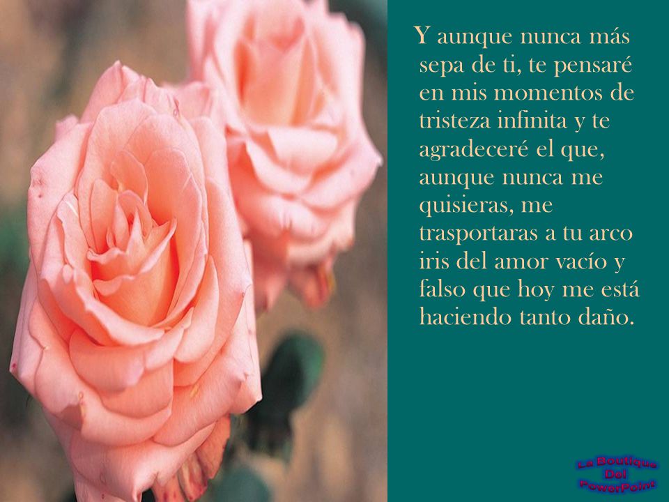 Y aunque nunca más sepa de ti, te pensaré en mis momentos de tristeza infinita y te agradeceré el que, aunque nunca me quisieras, me trasportaras a tu arco iris del amor vacío y falso que hoy me está haciendo tanto daño.