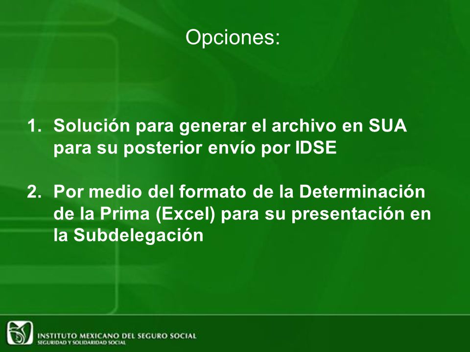 Opciones: Solución para generar el archivo en SUA para su posterior envío por IDSE.