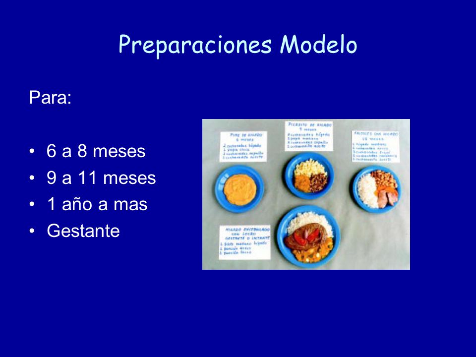 Preparaciones Modelo Para: 6 a 8 meses 9 a 11 meses 1 año a mas