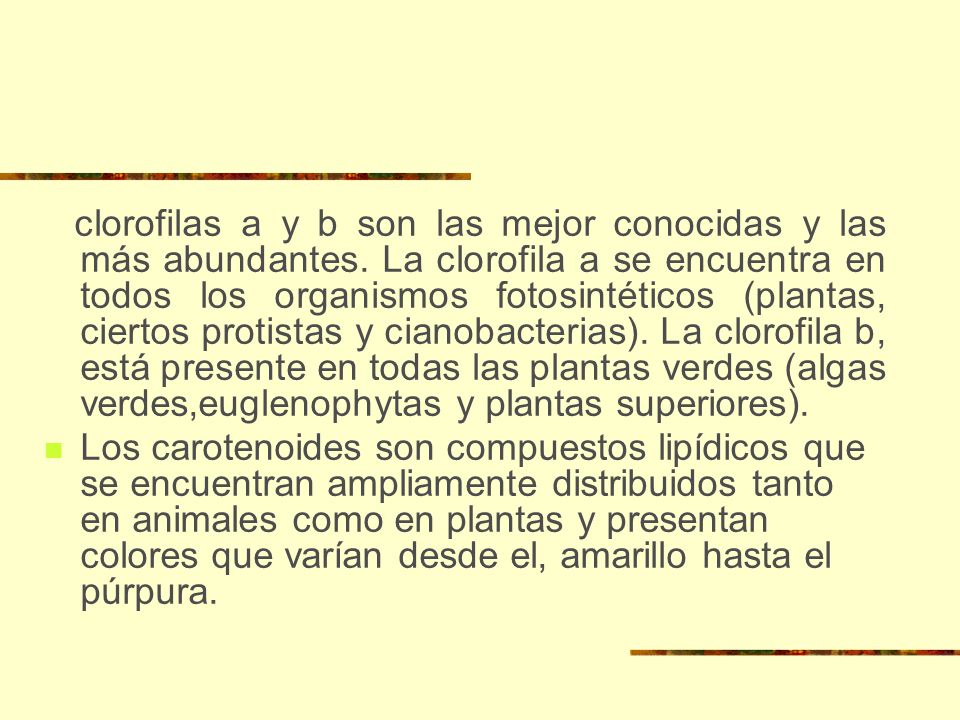 clorofilas a y b son las mejor conocidas y las más abundantes