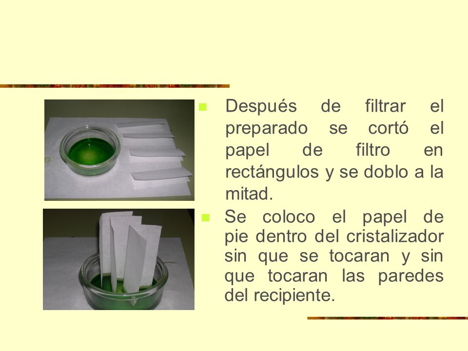 Después de filtrar el preparado se cortó el papel de filtro en rectángulos y se doblo a la mitad.