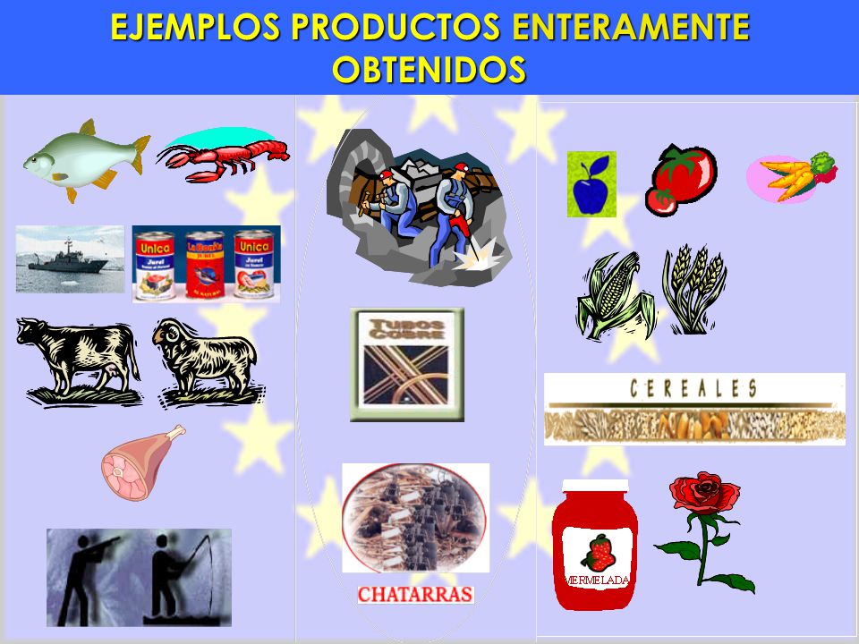 EJEMPLOS PRODUCTOS ENTERAMENTE OBTENIDOS