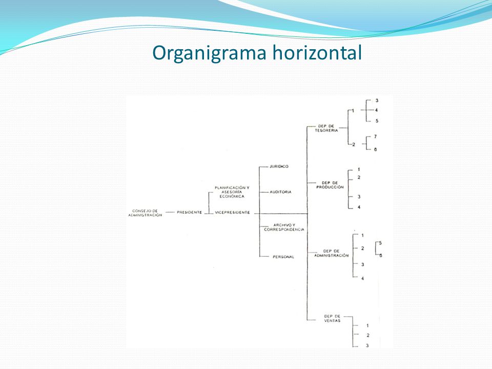Organigrama horizontal