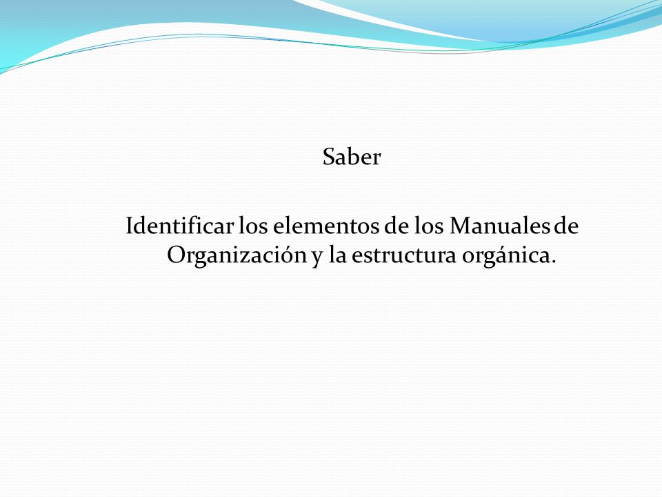 Saber Identificar los elementos de los Manuales de Organización y la estructura orgánica.