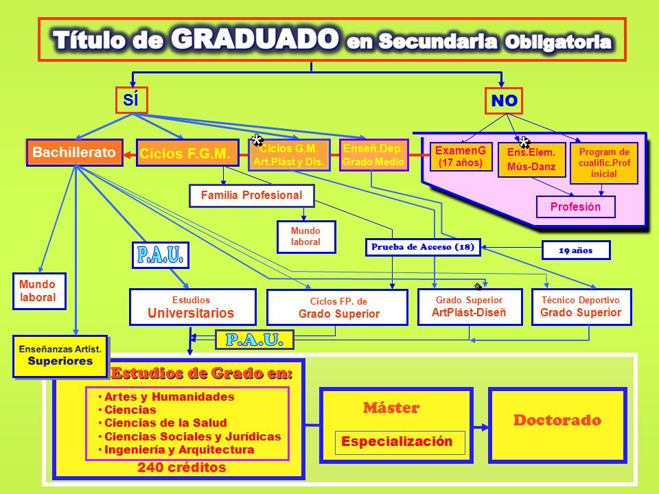 * * P.A.U. * P.A.U. SÍ NO Estudios de Grado en: Máster Doctorado