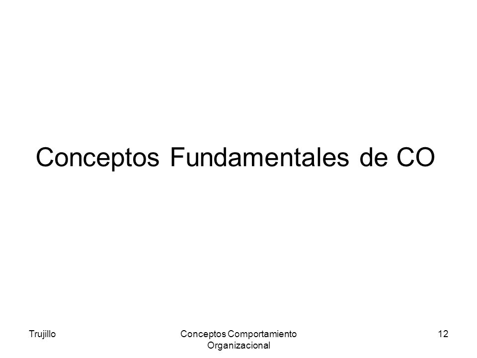 Conceptos Fundamentales de CO