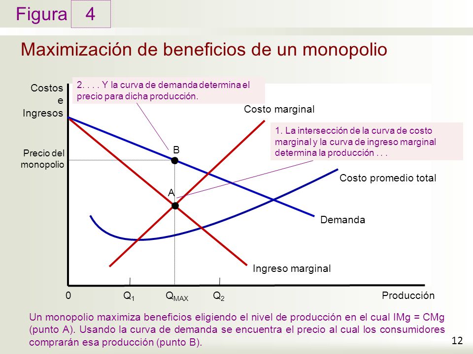 Maximización de beneficios de un monopolio
