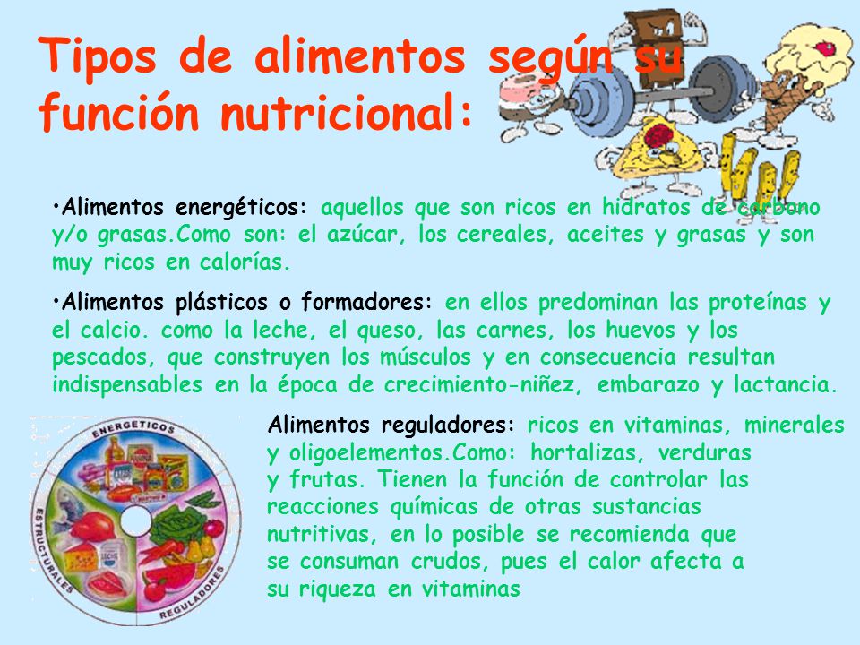 Tipos de alimentos según su función nutricional: