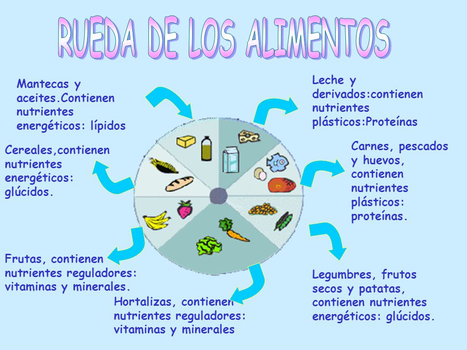 RUEDA DE LOS ALIMENTOS Leche y derivados:contienen nutrientes plásticos:Proteínas. Mantecas y aceites.Contienen nutrientes energéticos: lípidos.