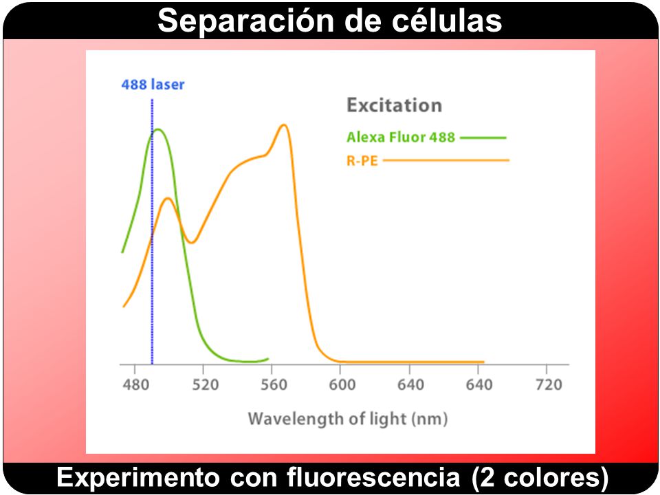 Experimento con fluorescencia (2 colores)