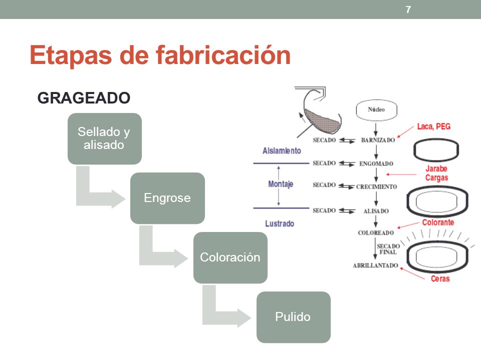 Etapas de fabricación GRAGEADO Sellado y alisado Engrose Coloración