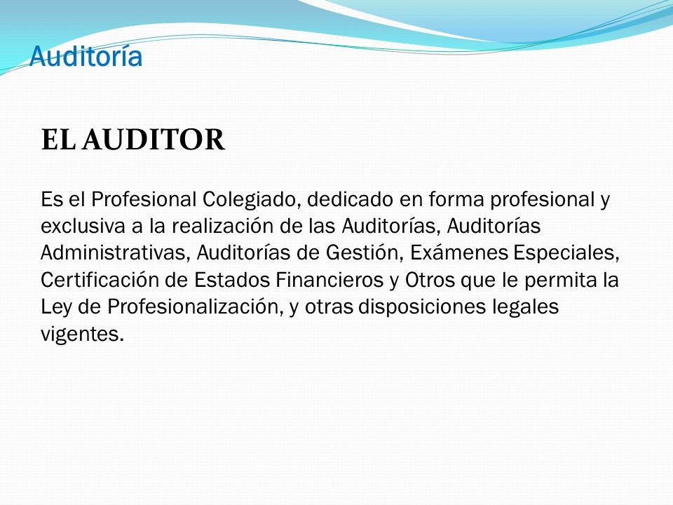 Auditoría EL AUDITOR.