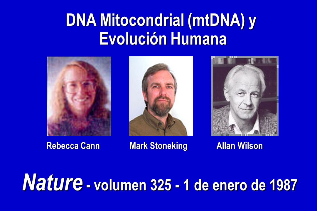 DNA Mitocondrial (mtDNA) y Nature - volumen de enero de 1987