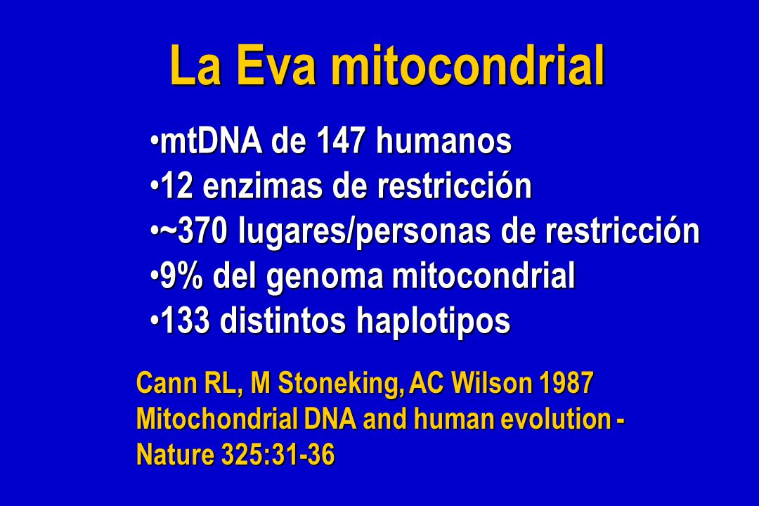 La Eva mitocondrial mtDNA de 147 humanos 12 enzimas de restricción