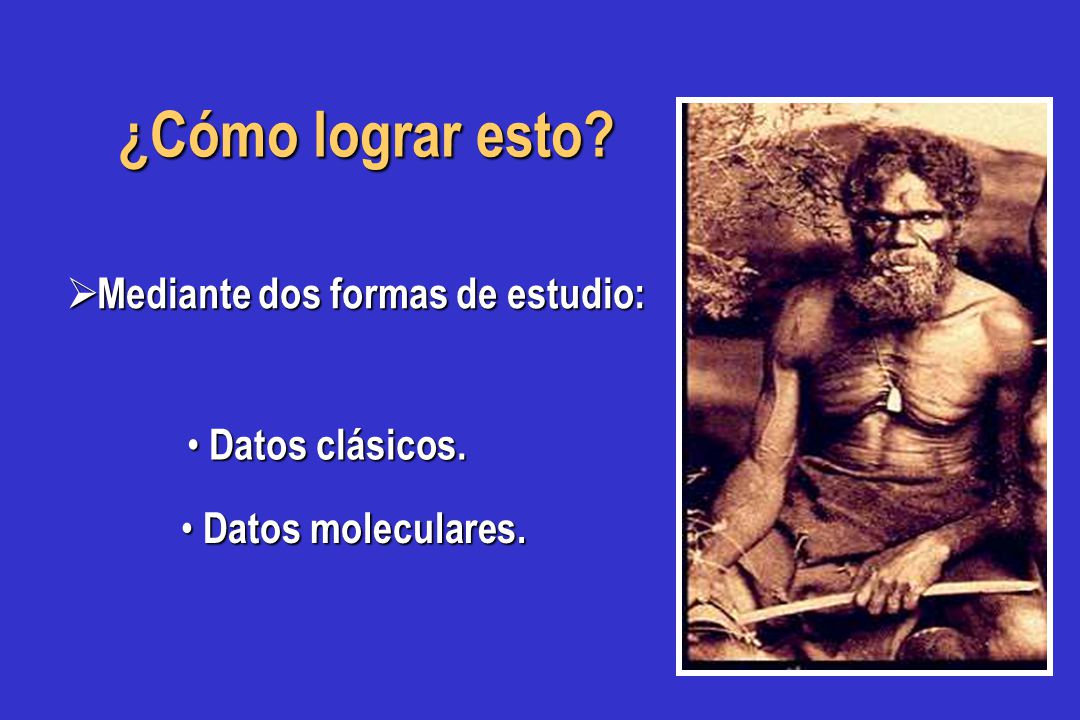 ¿Cómo lograr esto Mediante dos formas de estudio: Datos clásicos.