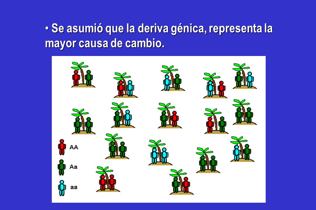 Se asumió que la deriva génica, representa la mayor causa de cambio.