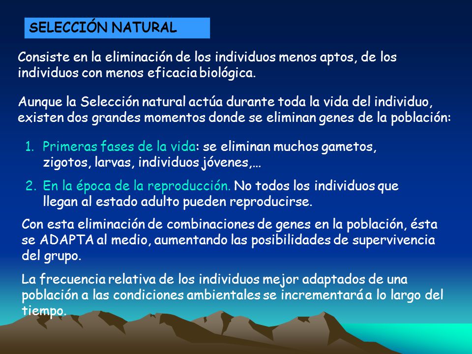 SELECCIÓN NATURAL Consiste en la eliminación de los individuos menos aptos, de los individuos con menos eficacia biológica.