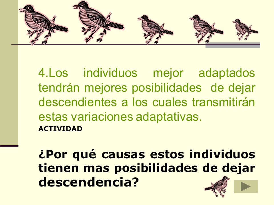 4.Los individuos mejor adaptados tendrán mejores posibilidades de dejar descendientes a los cuales transmitirán estas variaciones adaptativas.