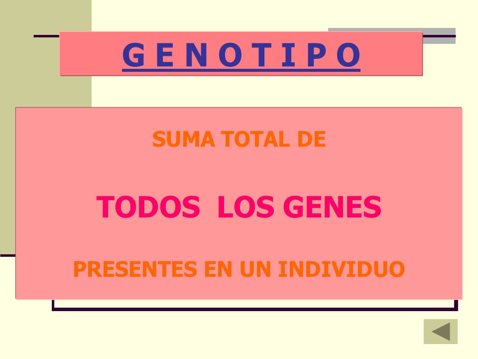 SUMA TOTAL DE TODOS LOS GENES PRESENTES EN UN INDIVIDUO