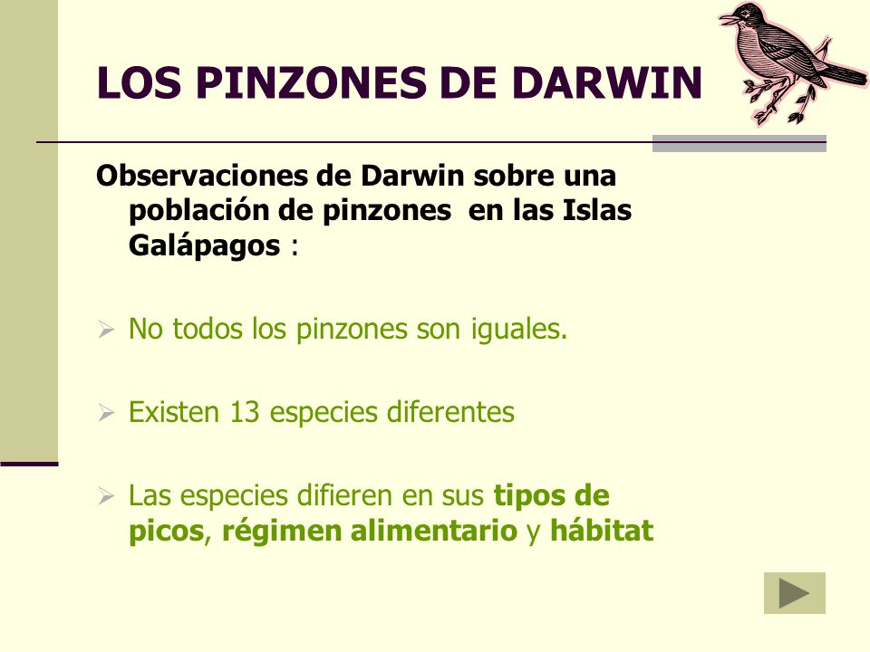 LOS PINZONES DE DARWIN Observaciones de Darwin sobre una población de pinzones en las Islas Galápagos :