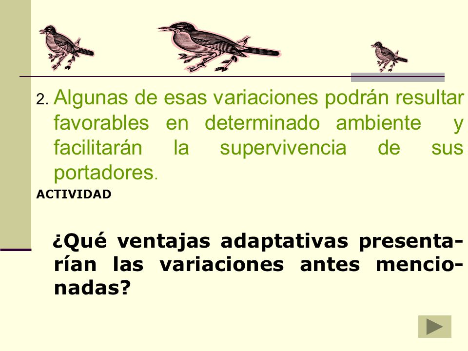 2. Algunas de esas variaciones podrán resultar favorables en determinado ambiente y facilitarán la supervivencia de sus portadores.