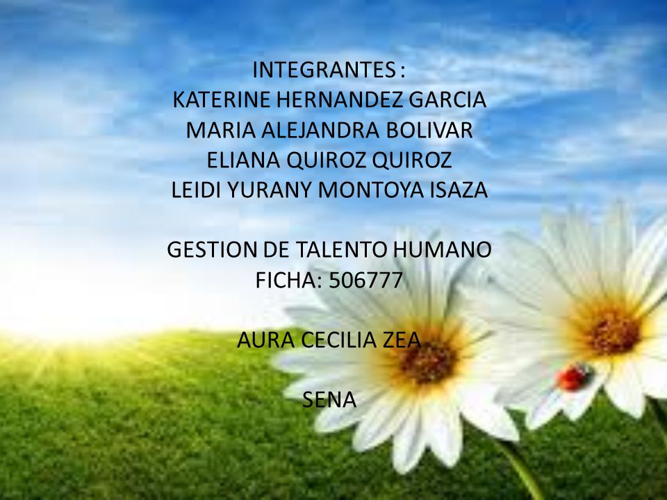 INTEGRANTES : KATERINE HERNANDEZ GARCIA MARIA ALEJANDRA BOLIVAR ELIANA QUIROZ QUIROZ LEIDI YURANY MONTOYA ISAZA GESTION DE TALENTO HUMANO FICHA: AURA CECILIA ZEA SENA