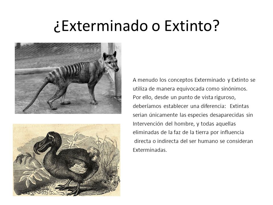 ¿Exterminado o Extinto