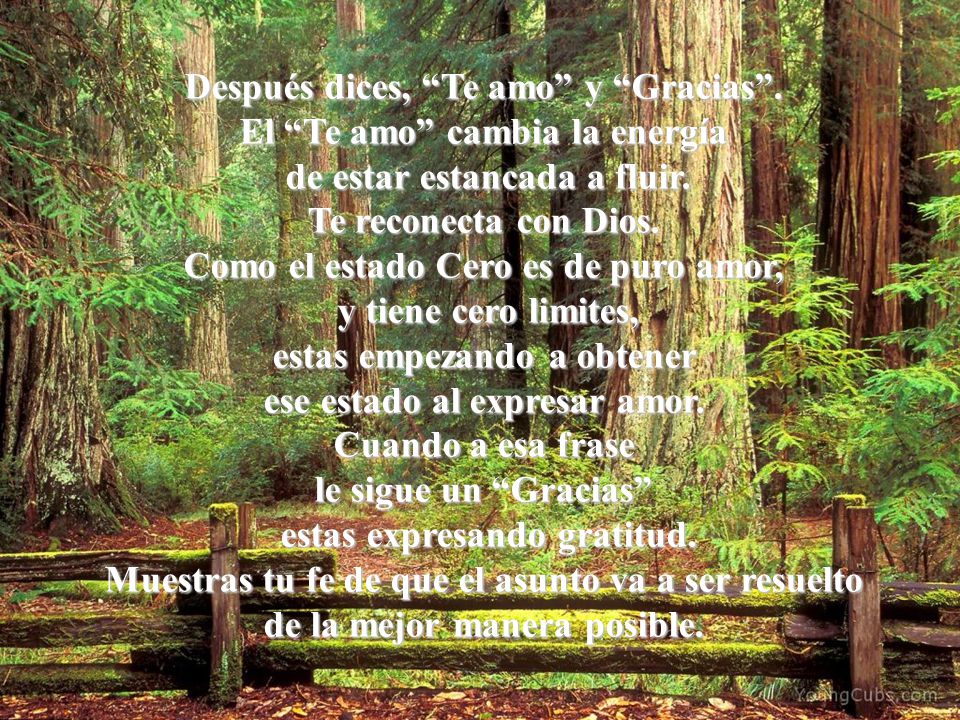 Después dices, Te amo y Gracias . El Te amo cambia la energía