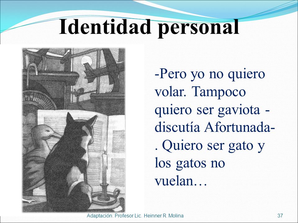 Identidad personal -Pero yo no quiero volar. Tampoco quiero ser gaviota -discutía Afortunada-. Quiero ser gato y los gatos no vuelan…