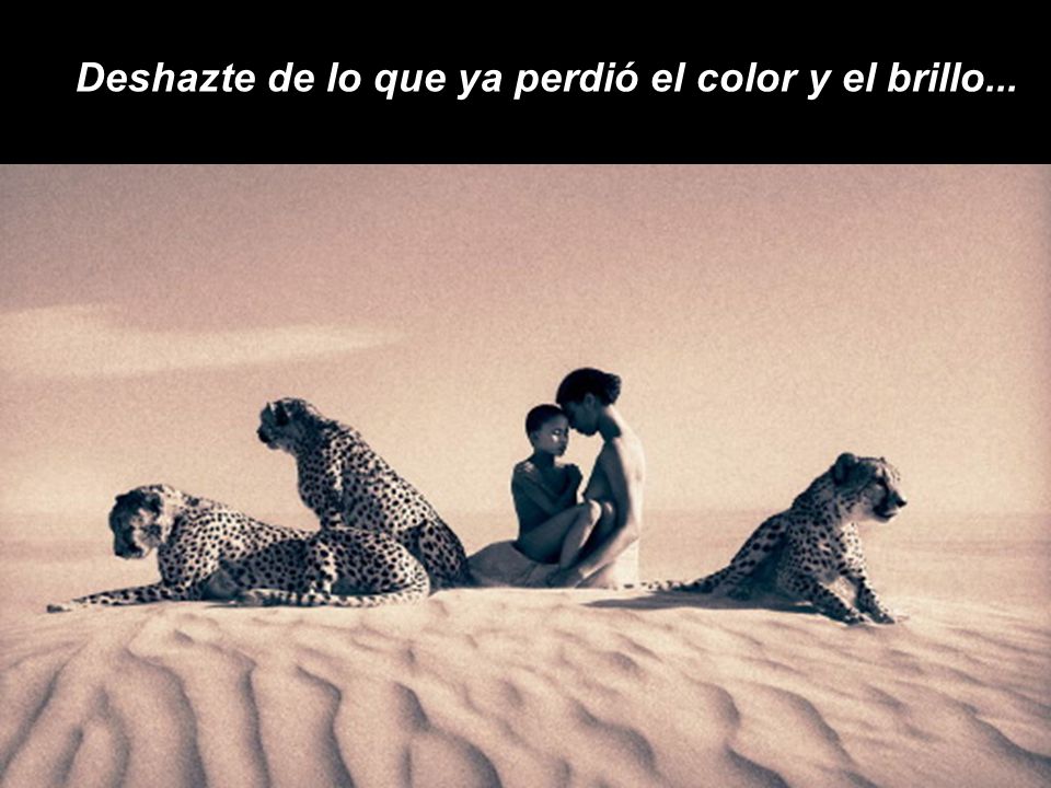 Deshazte de lo que ya perdió el color y el brillo...