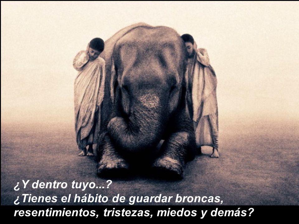 ¿Y dentro tuyo... ¿Tienes el hábito de guardar broncas, resentimientos, tristezas, miedos y demás