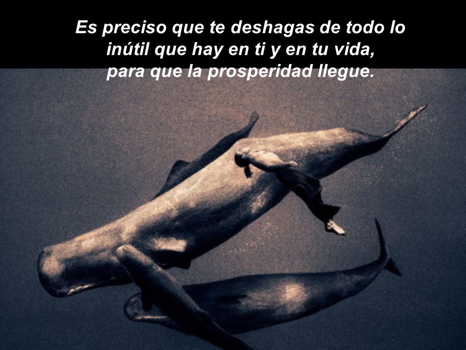 Es preciso que te deshagas de todo lo inútil que hay en ti y en tu vida, para que la prosperidad llegue.