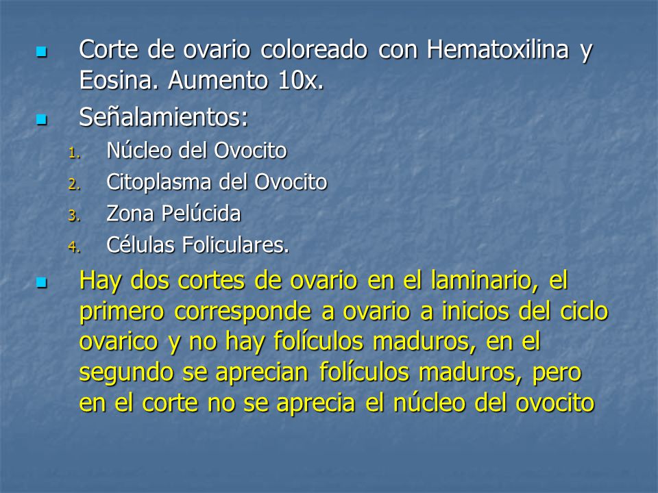 Corte de ovario coloreado con Hematoxilina y Eosina. Aumento 10x.