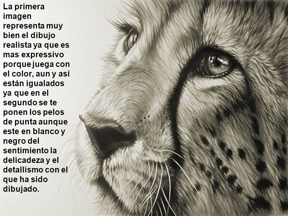 La primera imagen representa muy bien el dibujo realista ya que es mas expressivo porque juega con el color, aun y así están igualados ya que en el segundo se te ponen los pelos de punta aunque este en blanco y negro del sentimiento la delicadeza y el detallismo con el que ha sido dibujado.