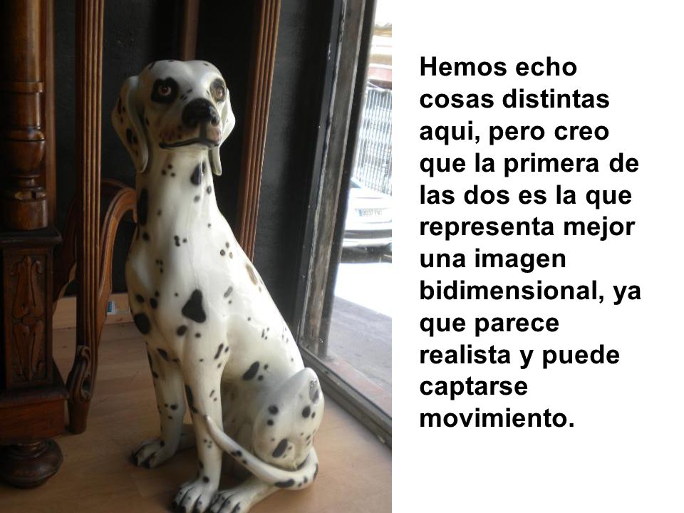 Hemos echo cosas distintas aqui, pero creo que la primera de las dos es la que representa mejor una imagen bidimensional, ya que parece realista y puede captarse movimiento.