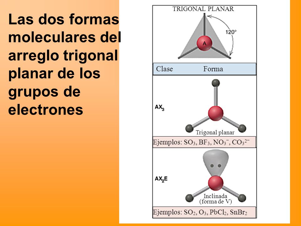 Las dos formas moleculares del arreglo trigonal planar de los grupos de electrones