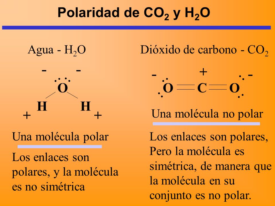 Polaridad de CO2 y H2O + O O C O H H + +