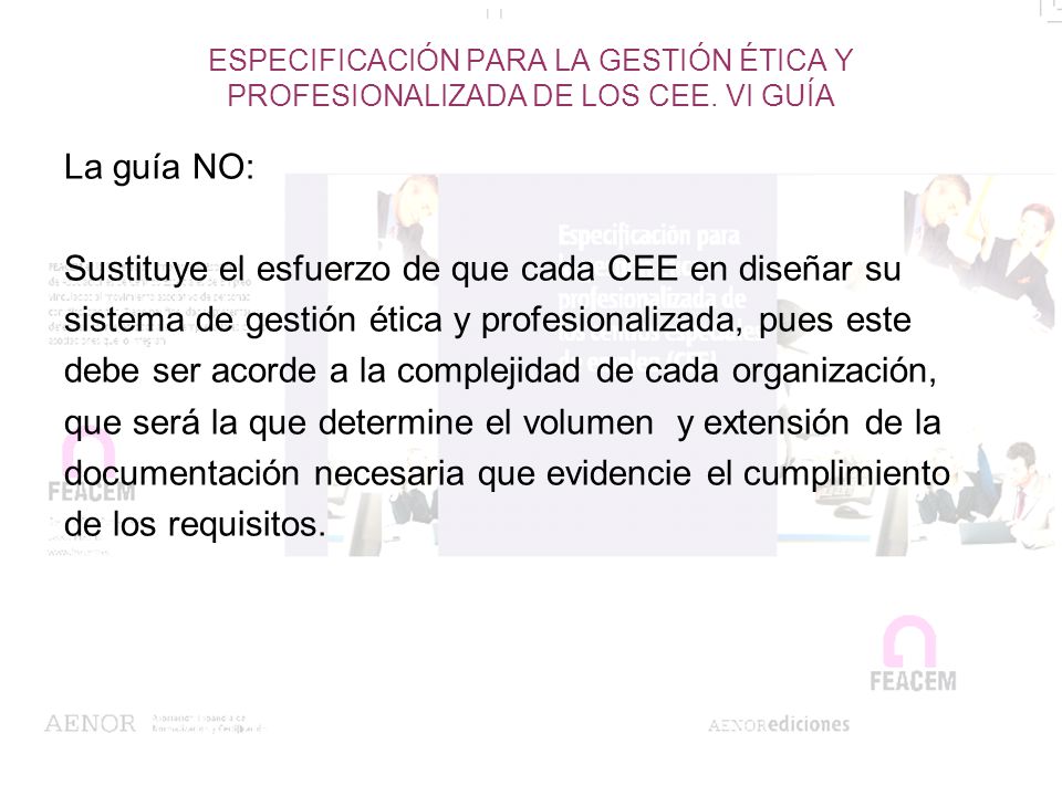 Sustituye el esfuerzo de que cada CEE en diseñar su